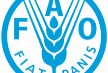 FAO-42: Senior Agricultural Officer – Join the Food and Agriculture Organization (FAO)