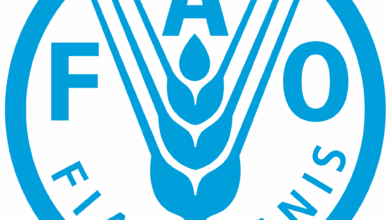 FAO-42: Senior Agricultural Officer – Join the Food and Agriculture Organization (FAO)