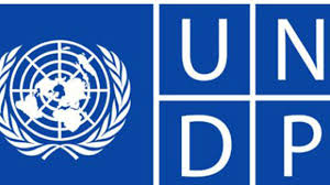 UNDP Internship, Social Media Support Intern, UN SDG Action Campaign, Sustainable Development Goals, SDGs,