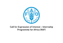 FAO Africa Internship 2025–2026: A Transformative Journey for Young Leaders