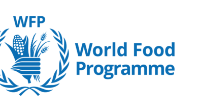 WFP Is Hiring a Consultant: Programme Management and Communications Officer (Remote) - Apply Before 8 February 2026