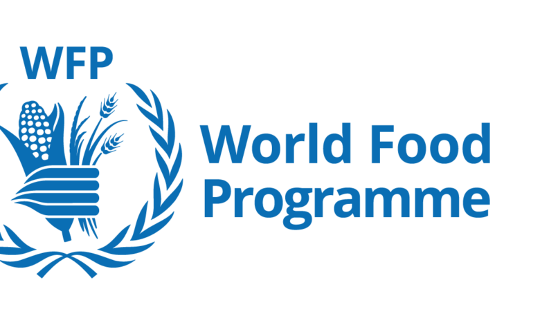 WFP Is Hiring a Consultant: Programme Management and Communications Officer (Remote) - Apply Before 8 February 2026