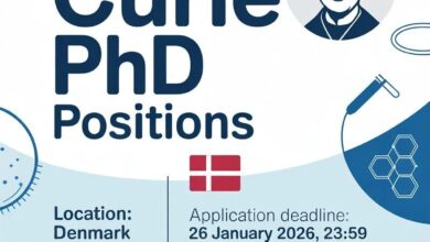 Kickstart Your Bright Research Career: 18 Fully Funded Marie Skłodowska-Curie PhDs in Denmark – Apply to the INTERACT Programme 2026”