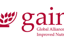 Career Spotlight: Programme Lead, Consumer Demand at GAIN – Apply before 28 January 2026
