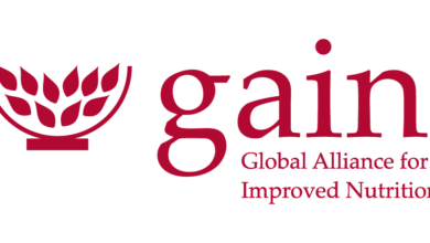 Career Spotlight: Programme Lead, Consumer Demand at GAIN – Apply before 28 January 2026