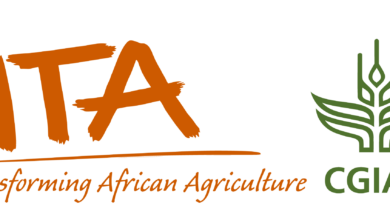 Career Opportunity at IITA: Senior Research Associate Applications Open Until 30 January 2026
