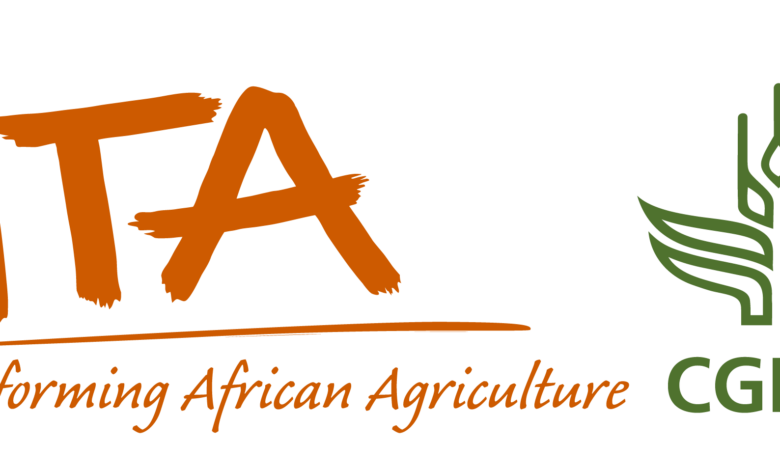 Career Opportunity at IITA: Senior Research Associate Applications Open Until 30 January 2026