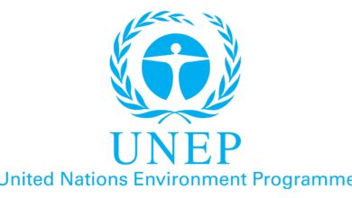Great Opportunity: UNEP Is Hiring Knowledge Management and IT Interns – Apply by 4 February 2026