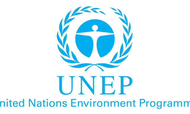 Great Opportunity: UNEP Is Hiring Knowledge Management and IT Interns – Apply by 4 February 2026