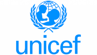 UNICEF is seeking a Senior Consultant to join its Education Outcomes Fund (EOF) (Remote)- Apply Before 09 February 2026