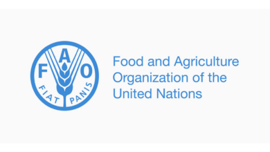 FAO Is Hiring a Livestock Specialist — Empowering Food Security in Pakistan - Apply Before 3 February 2026