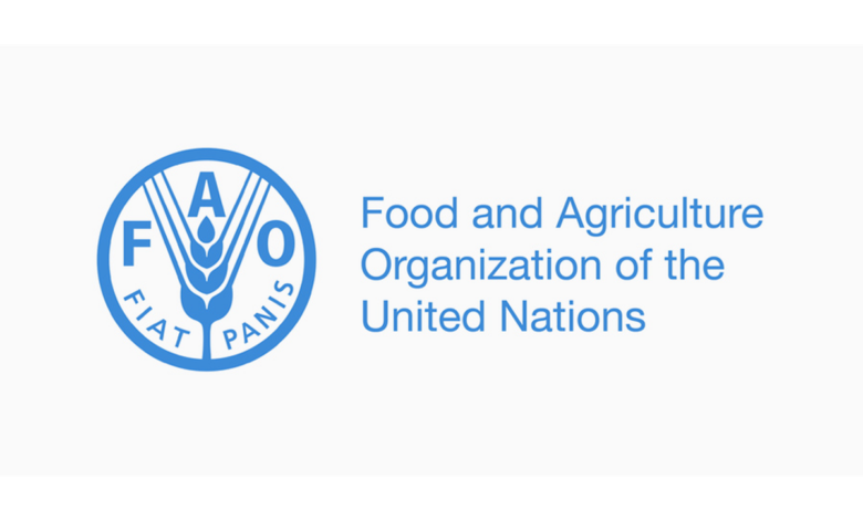 FAO Is Hiring a Livestock Specialist — Empowering Food Security in Pakistan - Apply Before 3 February 2026