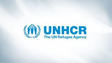 UNHCR Is Hiring an IT Associate – Apply Now