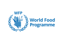 World Food Programme (WFP) Hiring Senior SAP BI & Data Analytics Specialist (Remote) 2026 – High-Paying UN Career Opportunity